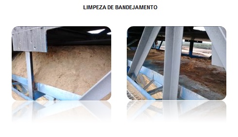 LIMPEZA DE BANDEJAMENTO